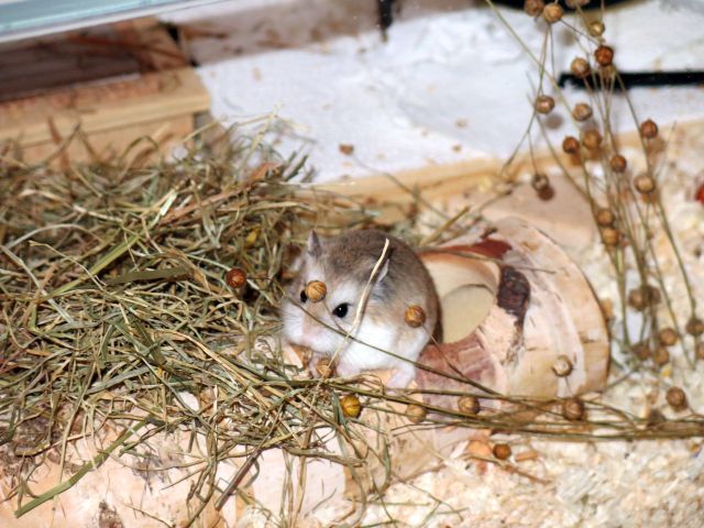 Bild